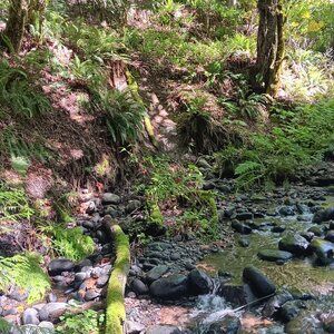 Meet your Posher, AH_626